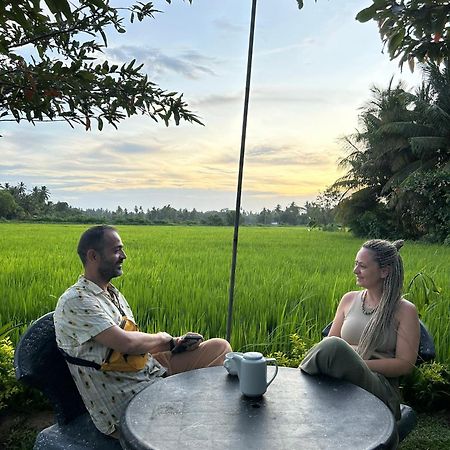 Viveka Inn Guest And Yala Safari Tissamaharama Eksteriør billede