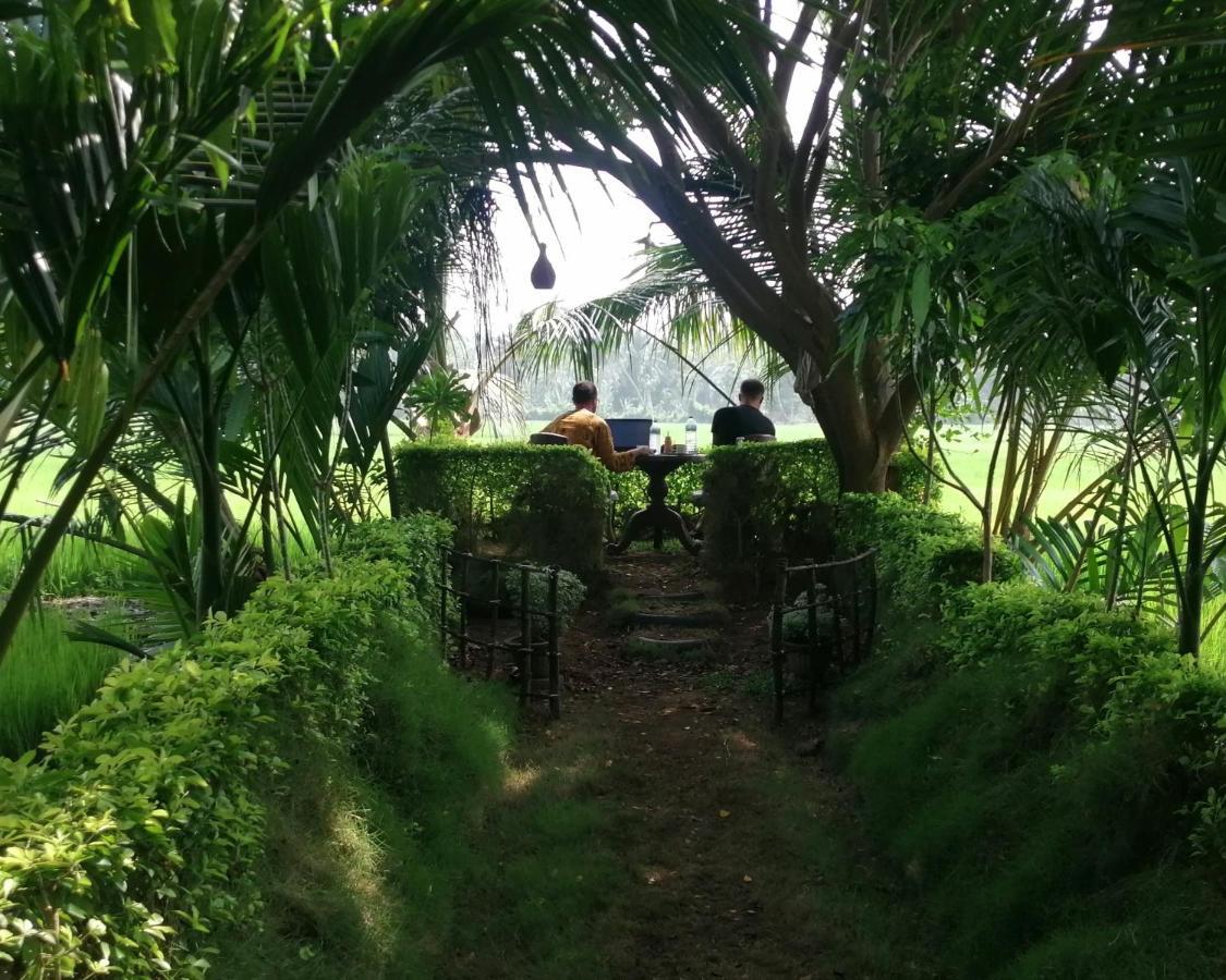 Viveka Inn Guest And Yala Safari Tissamaharama Eksteriør billede