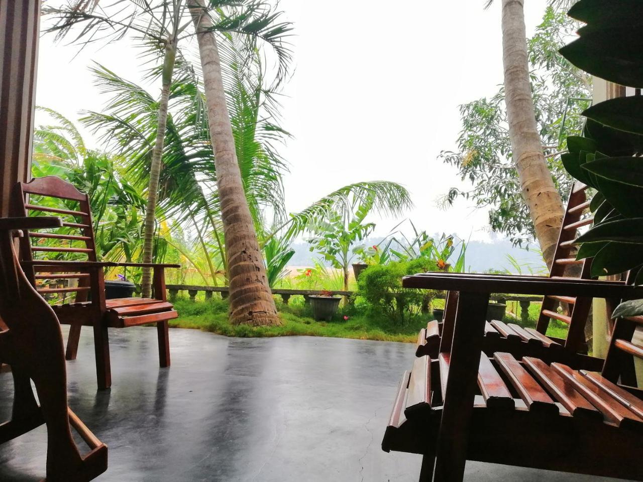 Viveka Inn Guest And Yala Safari Tissamaharama Eksteriør billede