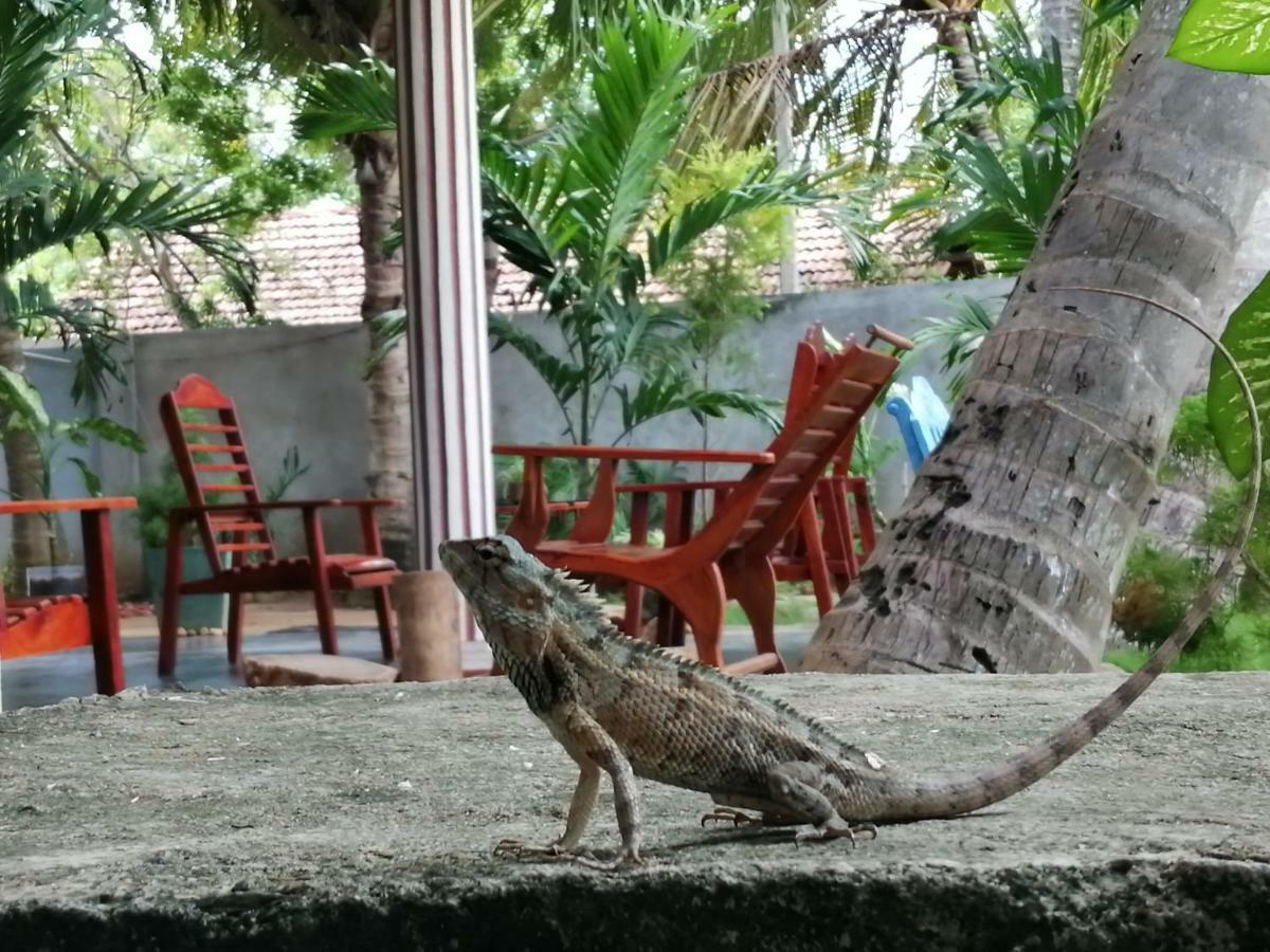 Viveka Inn Guest And Yala Safari Tissamaharama Eksteriør billede