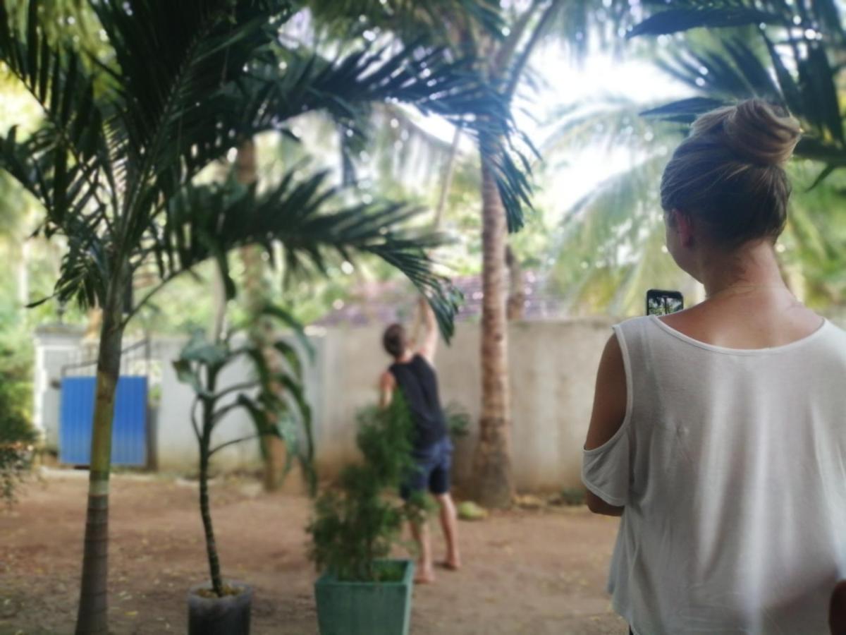 Viveka Inn Guest And Yala Safari Tissamaharama Eksteriør billede